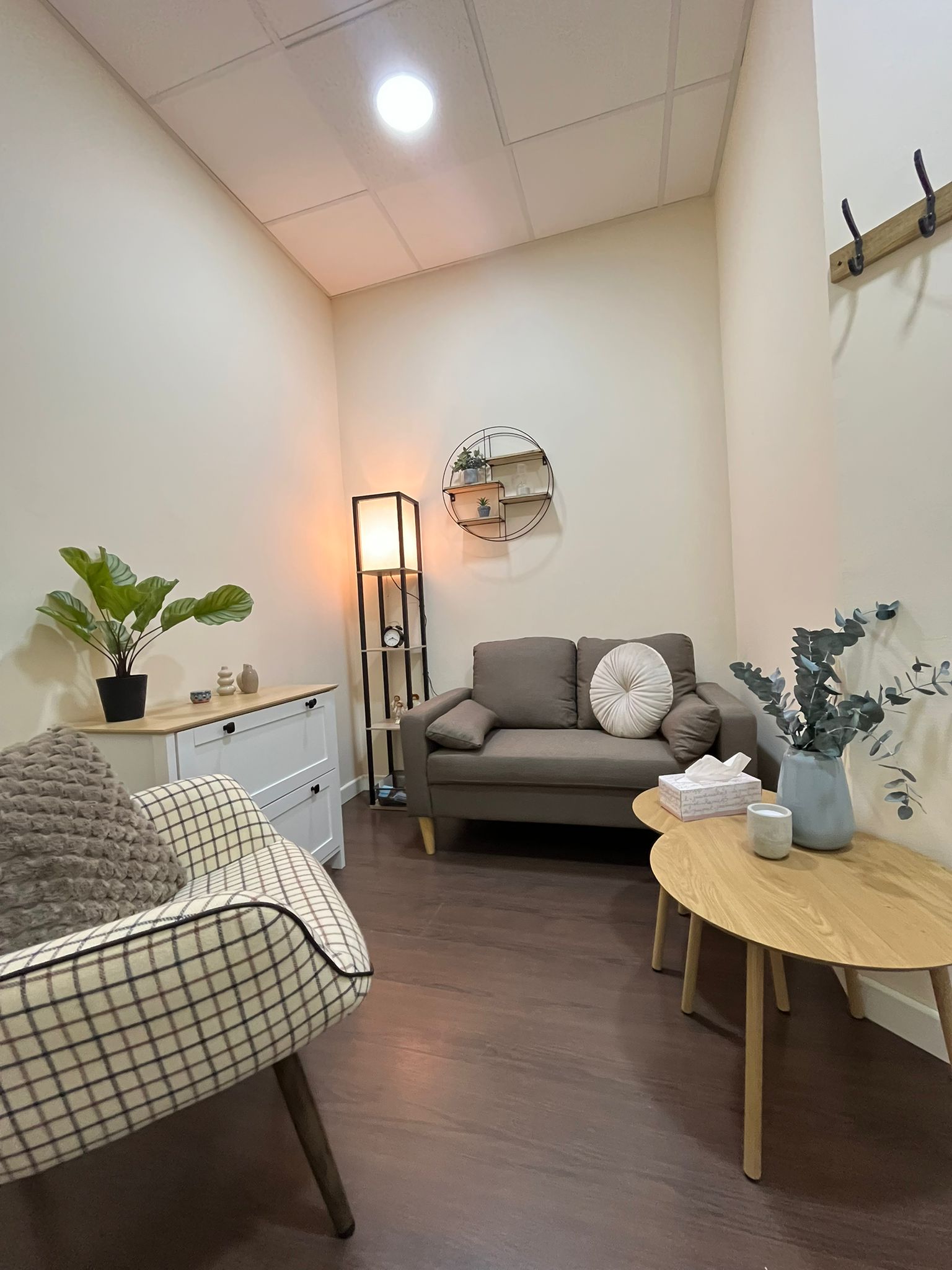 sanar y crecer psicologia (13)