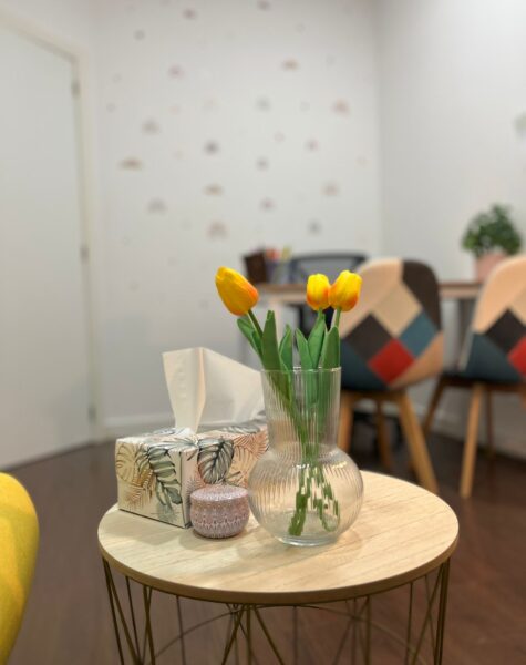 sanar y crecer psicologia (16)